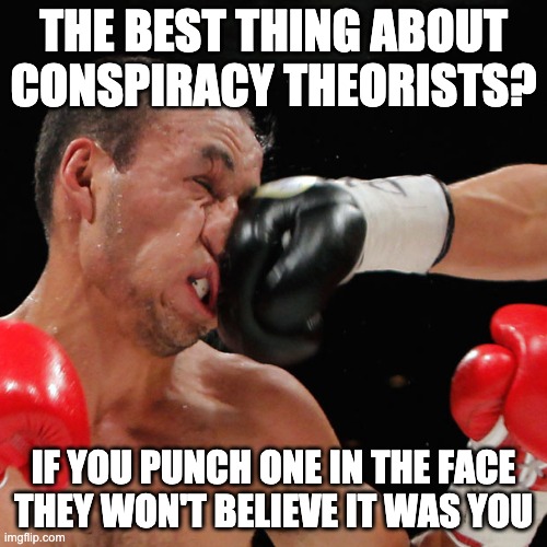 Boxer Getting Punched In The Face |  THE BEST THING ABOUT CONSPIRACY THEORISTS? IF YOU PUNCH ONE IN THE FACE THEY WON'T BELIEVE IT WAS YOU | image tagged in boxer getting punched in the face | made w/ Imgflip meme maker