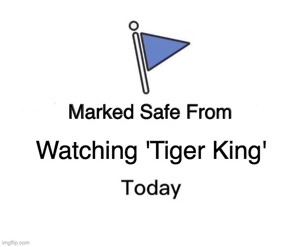 Marked Safe From Meme | Watching 'Tiger King' | image tagged in memes,marked safe from | made w/ Imgflip meme maker