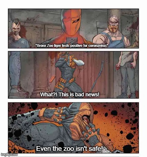 Deathstroke Receives Bad News | "Bronx Zoo tiger tests positive for coronavirus"; What?! This is bad news! Even the zoo isn't safe! | image tagged in bad news | made w/ Imgflip meme maker