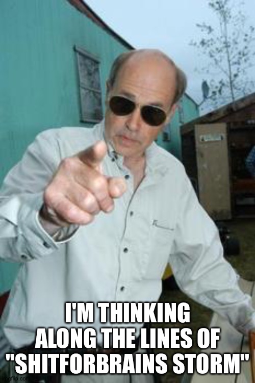 mr lahey | I'M THINKING ALONG THE LINES OF "SHITFORBRAINS STORM" | image tagged in mr lahey | made w/ Imgflip meme maker