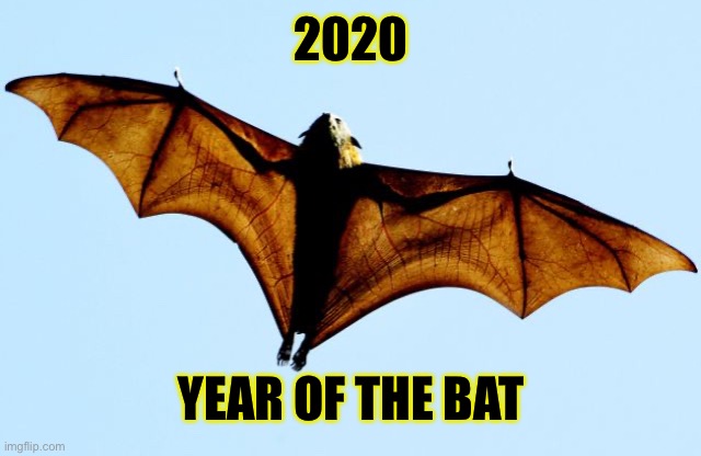 2020 | 2020; YEAR OF THE BAT | image tagged in 2020 | made w/ Imgflip meme maker