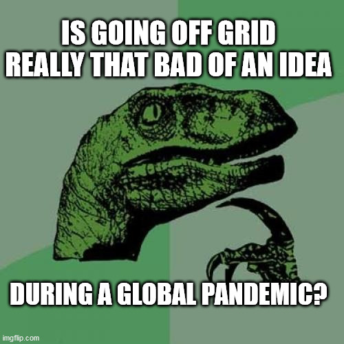 Philosoraptor Meme | IS GOING OFF GRID REALLY THAT BAD OF AN IDEA; DURING A GLOBAL PANDEMIC? | image tagged in memes,philosoraptor | made w/ Imgflip meme maker