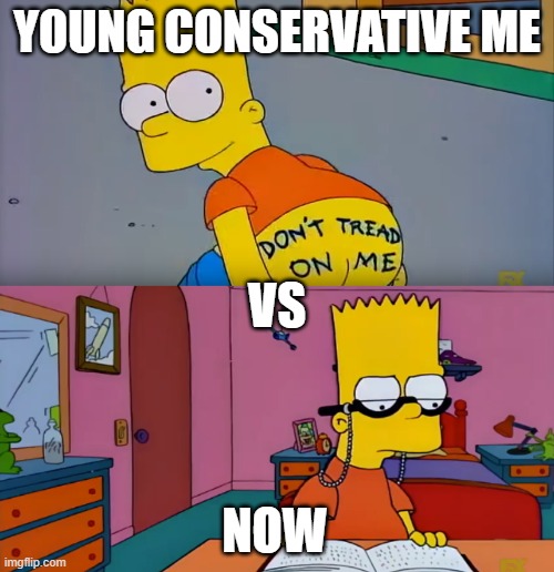 I still like to trigger a snowflake once and a while | YOUNG CONSERVATIVE ME; VS; NOW | image tagged in politics,political meme,conservatives | made w/ Imgflip meme maker