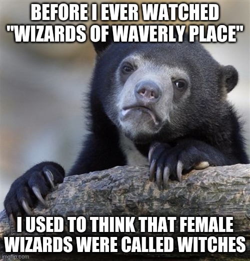 Does that make me sexist? | BEFORE I EVER WATCHED "WIZARDS OF WAVERLY PLACE"; I USED TO THINK THAT FEMALE WIZARDS WERE CALLED WITCHES | image tagged in memes,confession bear,wizards of waverly place,disney channel,wizards,witches | made w/ Imgflip meme maker