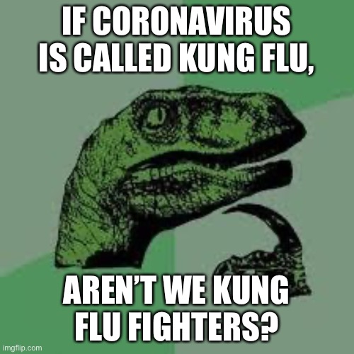 Dinosaur | IF CORONAVIRUS IS CALLED KUNG FLU, AREN’T WE KUNG FLU FIGHTERS? | image tagged in dinosaur | made w/ Imgflip meme maker