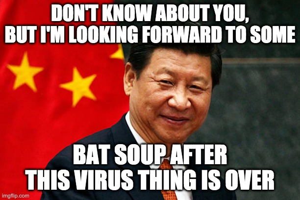 Xi Jinping | DON'T KNOW ABOUT YOU, BUT I'M LOOKING FORWARD TO SOME; BAT SOUP AFTER THIS VIRUS THING IS OVER | image tagged in xi jinping | made w/ Imgflip meme maker