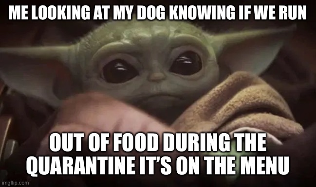 Baby Yoda | ME LOOKING AT MY DOG KNOWING IF WE RUN; OUT OF FOOD DURING THE QUARANTINE IT’S ON THE MENU | image tagged in baby yoda,funny,funny memes,too funny,dank memes,memes | made w/ Imgflip meme maker