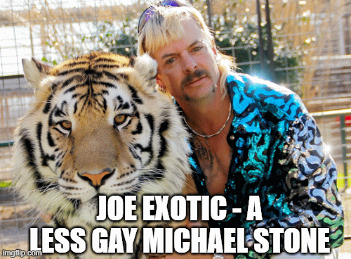 JOE EXOTIC - A LESS GAY MICHAEL STONE | image tagged in gifs | made w/ Imgflip images-to-gif maker