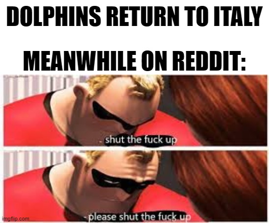 DOLPHINS RETURN TO ITALY; MEANWHILE ON REDDIT: | made w/ Imgflip meme maker