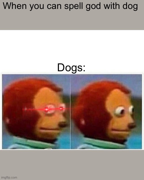Monkey Puppet Meme | When you can spell god with dog; Dogs: | image tagged in memes,monkey puppet | made w/ Imgflip meme maker