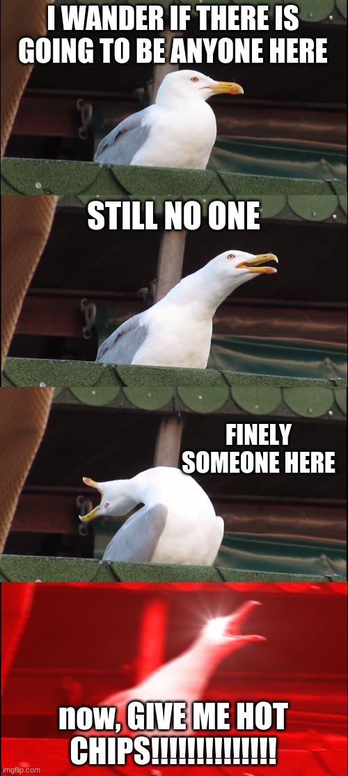 Inhaling Seagull | I WANDER IF THERE IS GOING TO BE ANYONE HERE; STILL NO ONE; FINELY SOMEONE HERE; now, GIVE ME HOT CHIPS!!!!!!!!!!!!!! | image tagged in memes,inhaling seagull | made w/ Imgflip meme maker