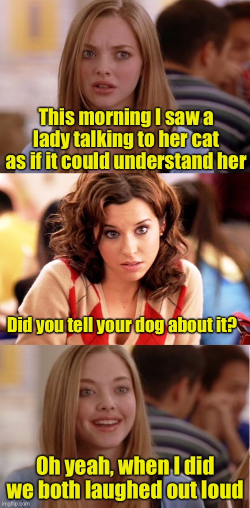 Blonde Pun |  This morning I saw a lady talking to her cat as if it could understand her; Did you tell your dog about it? Oh yeah, when I did we both laughed out loud | image tagged in blonde pun | made w/ Imgflip meme maker