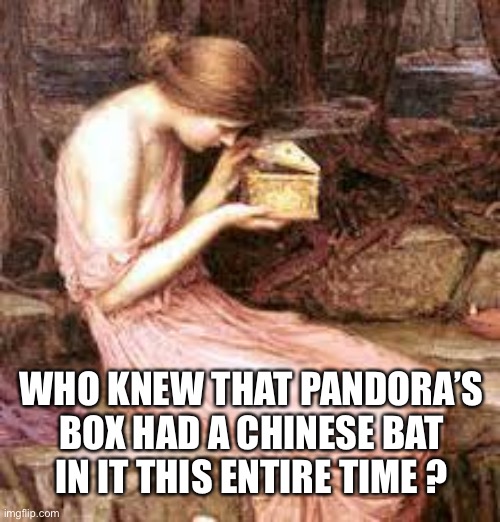 Pandora's Box | WHO KNEW THAT PANDORA’S
BOX HAD A CHINESE BAT
IN IT THIS ENTIRE TIME ? | image tagged in pandora's box,covid-19,coronavirus,corona,2020,apocalypse | made w/ Imgflip meme maker