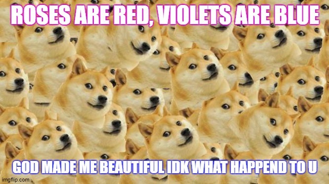 Multi Doge | ROSES ARE RED, VIOLETS ARE BLUE; GOD MADE ME BEAUTIFUL IDK WHAT HAPPEND TO U | image tagged in memes,multi doge | made w/ Imgflip meme maker