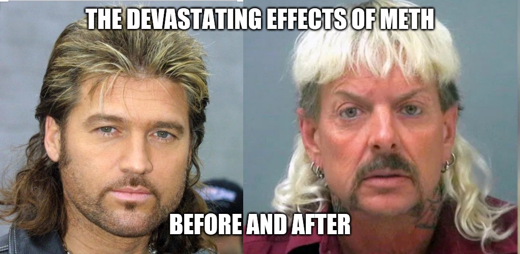 The devastating effects of Meth | THE DEVASTATING EFFECTS OF METH; BEFORE AND AFTER | image tagged in joe exotic,billy ray cyrus,meth | made w/ Imgflip meme maker