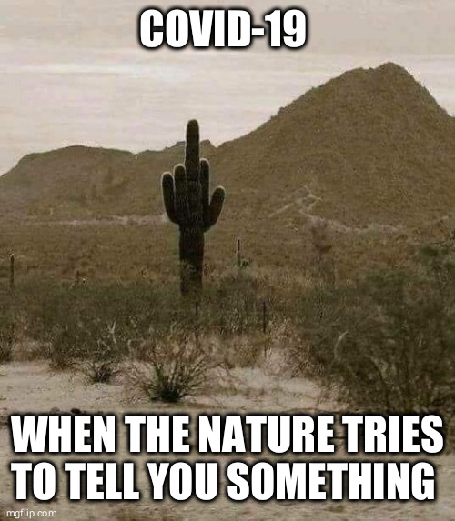 Cactus finger | COVID-19; WHEN THE NATURE TRIES TO TELL YOU SOMETHING | image tagged in cactus finger | made w/ Imgflip meme maker