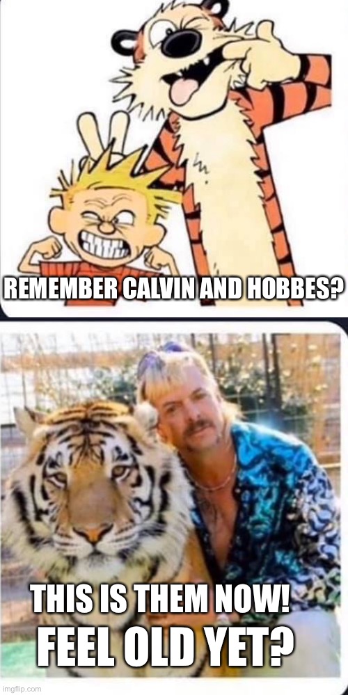  REMEMBER CALVIN AND HOBBES? FEEL OLD YET? THIS IS THEM NOW! | image tagged in calvin and hobbes,feel old yet,FreeKarma4U | made w/ Imgflip meme maker
