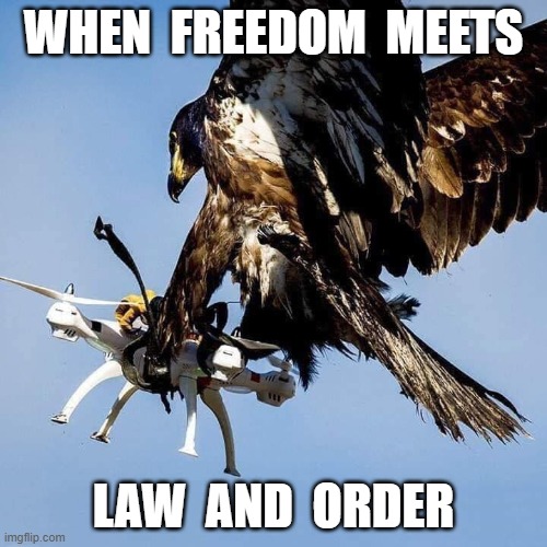 Freedom | WHEN  FREEDOM  MEETS; LAW  AND  ORDER | image tagged in law and order | made w/ Imgflip meme maker