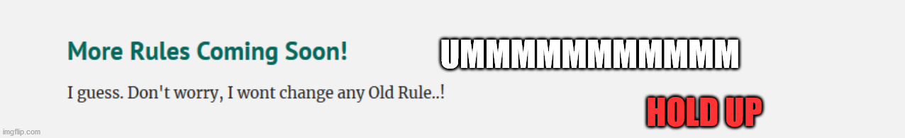 More Rules Coming Soon! I guess? | UMMMMMMMMMMM; HOLD UP | image tagged in evil overlord rules,rules | made w/ Imgflip meme maker