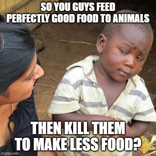 Third World Skeptical Kid | SO YOU GUYS FEED PERFECTLY GOOD FOOD TO ANIMALS; THEN KILL THEM TO MAKE LESS FOOD? | image tagged in memes,third world skeptical kid | made w/ Imgflip meme maker