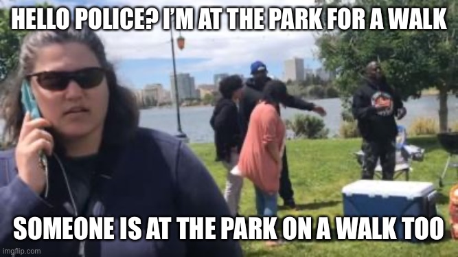 Karona | HELLO POLICE? I’M AT THE PARK FOR A WALK; SOMEONE IS AT THE PARK ON A WALK TOO | image tagged in coronavirus,karen,chicago | made w/ Imgflip meme maker
