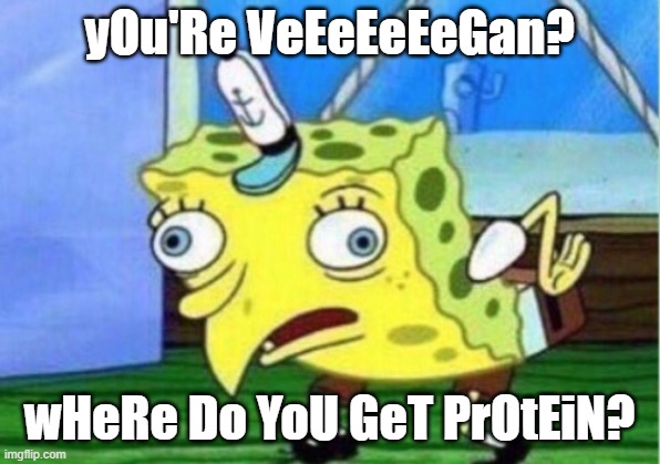 Mocking Spongebob | yOu'Re VeEeEeEeGan? wHeRe Do YoU GeT PrOtEiN? | image tagged in memes,mocking spongebob | made w/ Imgflip meme maker