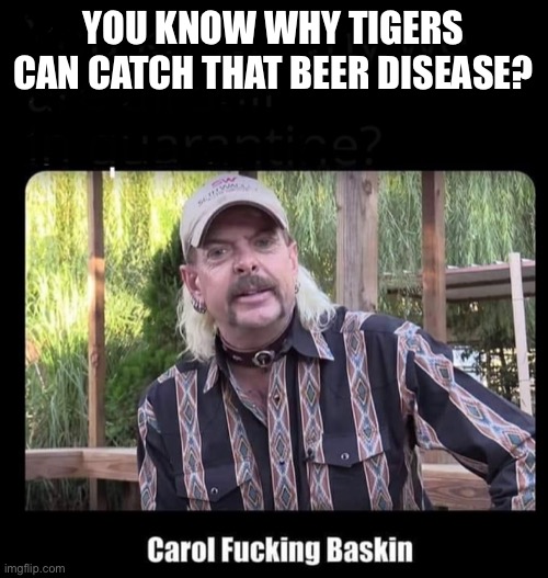 Tigers COVID-19 | YOU KNOW WHY TIGERS CAN CATCH THAT BEER DISEASE? | image tagged in tigers,joe exotic,covid-19,carole baskin | made w/ Imgflip meme maker