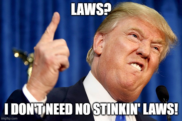 Donald Trump | LAWS? I DON'T NEED NO STINKIN' LAWS! | image tagged in donald trump | made w/ Imgflip meme maker
