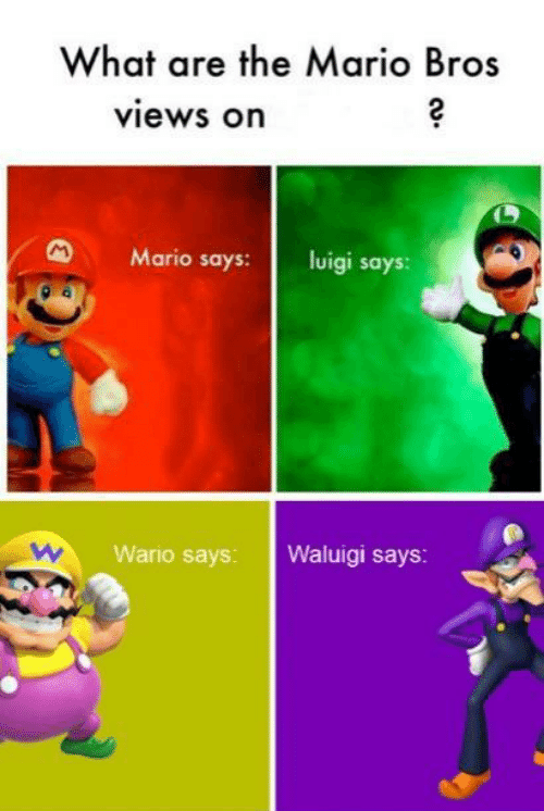 Mario and Wario bros views Blank Meme Template