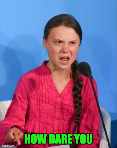 Greta Thunberg how dare you | HOW DARE YOU | image tagged in greta thunberg how dare you | made w/ Imgflip meme maker