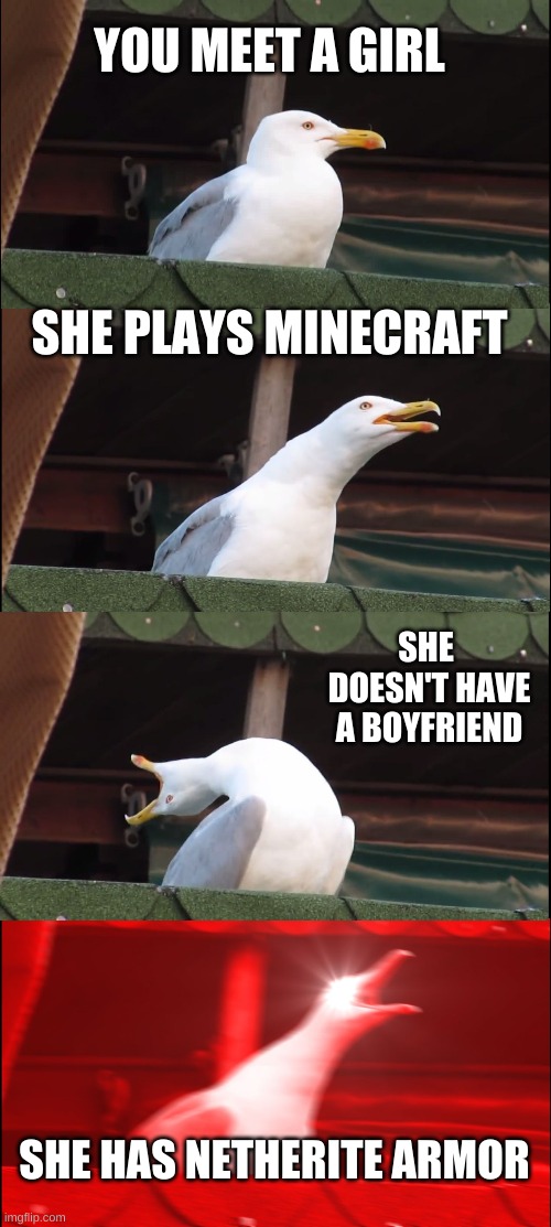 Inhaling Seagull Meme | YOU MEET A GIRL; SHE PLAYS MINECRAFT; SHE  DOESN'T HAVE A BOYFRIEND; SHE HAS NETHERITE ARMOR | image tagged in memes,inhaling seagull | made w/ Imgflip meme maker