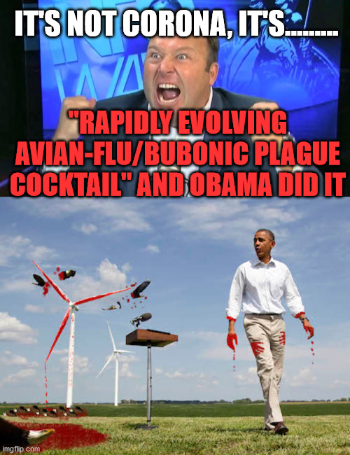 alex jones against the globalists | IT'S NOT CORONA, IT'S......... "RAPIDLY EVOLVING AVIAN-FLU/BUBONIC PLAGUE COCKTAIL" AND OBAMA DID IT | image tagged in alex jones | made w/ Imgflip meme maker