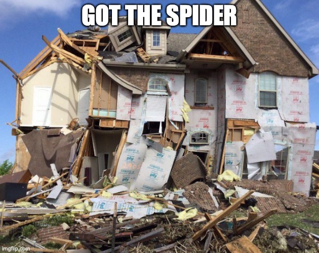 GOT THE SPIDER | image tagged in funny memes | made w/ Imgflip meme maker