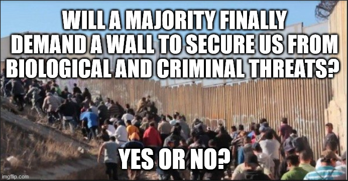 Finally a wall? | WILL A MAJORITY FINALLY DEMAND A WALL TO SECURE US FROM BIOLOGICAL AND CRIMINAL THREATS? YES OR NO? | image tagged in build a wall | made w/ Imgflip meme maker