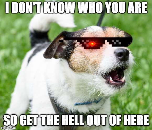 Dog barking in park | I DON'T KNOW WHO YOU ARE; SO GET THE HELL OUT OF HERE | image tagged in dog barking in park | made w/ Imgflip meme maker