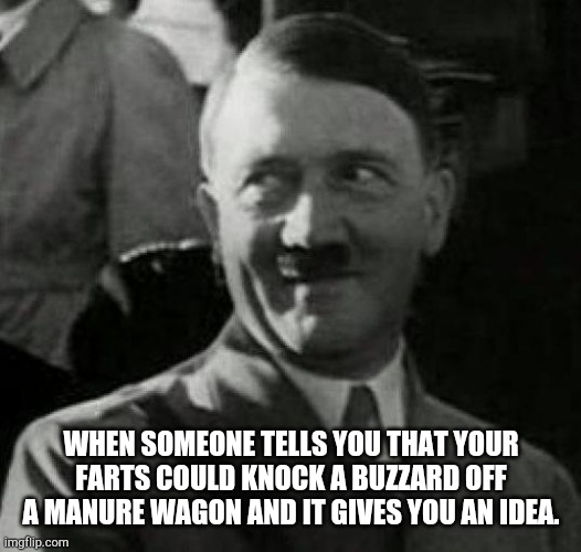 Hitler laugh  |  WHEN SOMEONE TELLS YOU THAT YOUR FARTS COULD KNOCK A BUZZARD OFF A MANURE WAGON AND IT GIVES YOU AN IDEA. | image tagged in hitler laugh | made w/ Imgflip meme maker