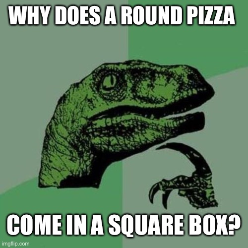raptor | WHY DOES A ROUND PIZZA; COME IN A SQUARE BOX? | image tagged in raptor | made w/ Imgflip meme maker
