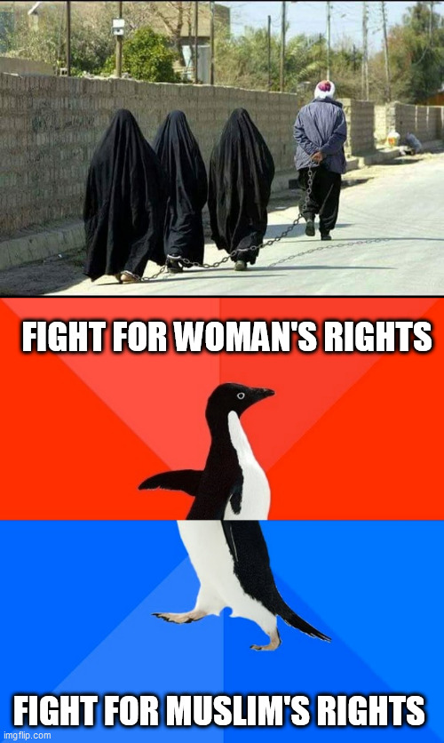 Image Tagged In Memessocially Awesome Awkward Penguinislam Imgflip