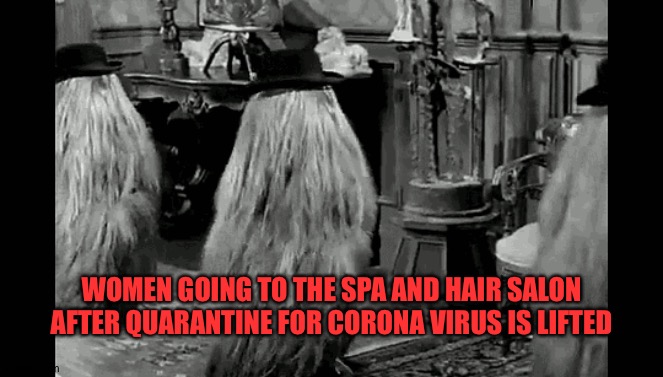 Cousin It | WOMEN GOING TO THE SPA AND HAIR SALON AFTER QUARANTINE FOR CORONA VIRUS IS LIFTED | image tagged in funny memes | made w/ Imgflip meme maker