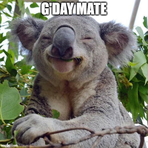 Smiling Koala | G'DAY MATE | image tagged in smiling koala | made w/ Imgflip meme maker