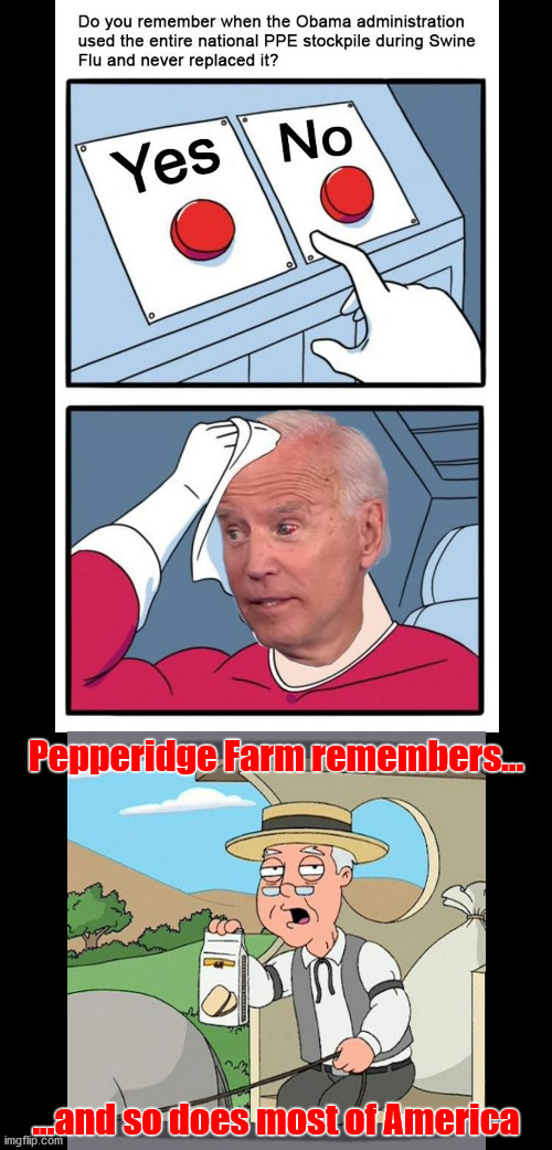 We Remember Better Than Joe | Pepperidge Farm remembers... ...and so does most of America | image tagged in joe biden,liberal hypocrisy | made w/ Imgflip meme maker