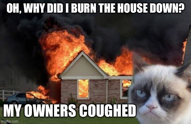 Burn Kitty | OH, WHY DID I BURN THE HOUSE DOWN? MY OWNERS COUGHED | image tagged in memes,burn kitty,grumpy cat | made w/ Imgflip meme maker