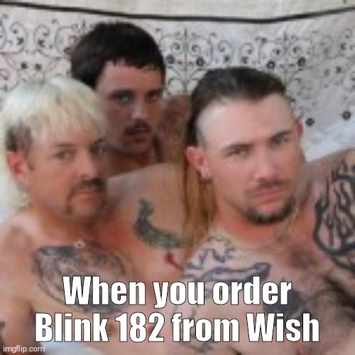 Joe Exotic hubands | When you order Blink 182 from Wish | image tagged in joe exotic hubands | made w/ Imgflip meme maker
