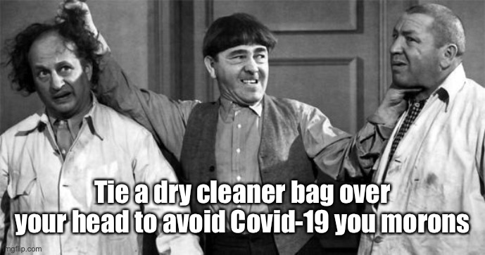 Three Stooges | Tie a dry cleaner bag over your head to avoid Covid-19 you morons | image tagged in three stooges | made w/ Imgflip meme maker