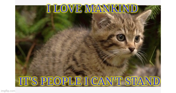 Baby Wildcat | I LOVE MANKIND; IT'S PEOPLE I CAN'T STAND | image tagged in burn kitty,angry baby | made w/ Imgflip meme maker