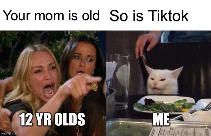 Woman Yelling At Cat | Your mom is old; So is Tiktok; 12 YR OLDS; ME | image tagged in memes,woman yelling at cat | made w/ Imgflip meme maker