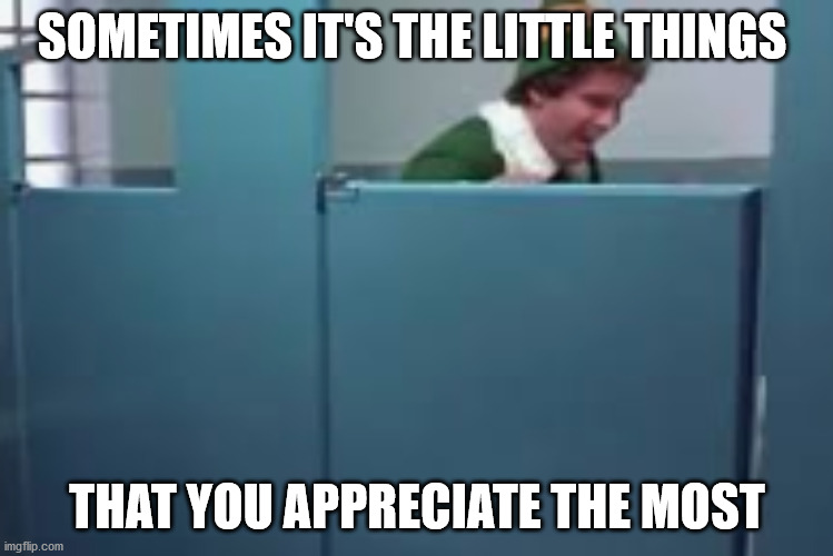 You always have something to be thankful for. | SOMETIMES IT'S THE LITTLE THINGS; THAT YOU APPRECIATE THE MOST | image tagged in coronavirus,memes,funny memes,buddy the elf,christmas memes,toilet paper | made w/ Imgflip meme maker