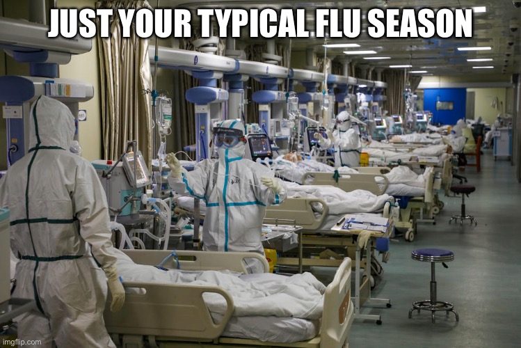 JUST YOUR TYPICAL FLU SEASON | made w/ Imgflip meme maker