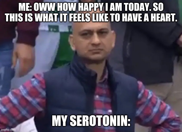Disappointed Cricket Fan | ME: OWW HOW HAPPY I AM TODAY. SO THIS IS WHAT IT FEELS LIKE TO HAVE A HEART. MY SEROTONIN: | image tagged in disappointed cricket fan | made w/ Imgflip meme maker