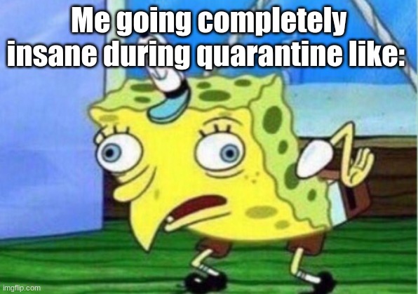 Mocking Spongebob | Me going completely insane during quarantine like: | image tagged in memes,mocking spongebob | made w/ Imgflip meme maker